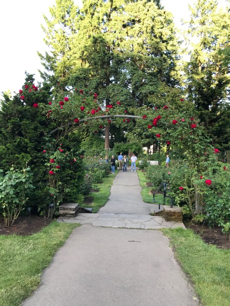 Portland - Rose Garden