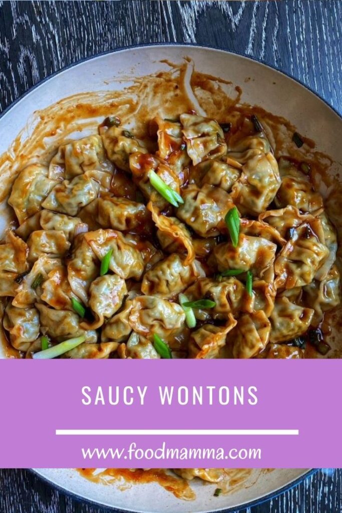 Saucy Wontons