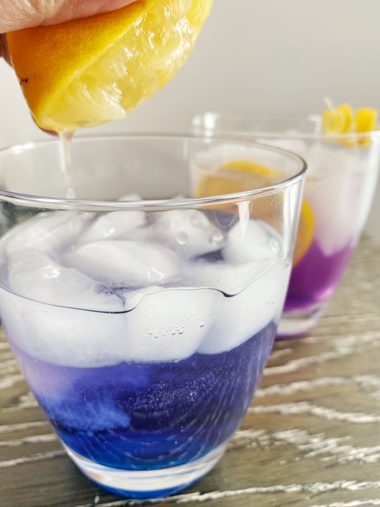 Sparkling Purple Lemonade